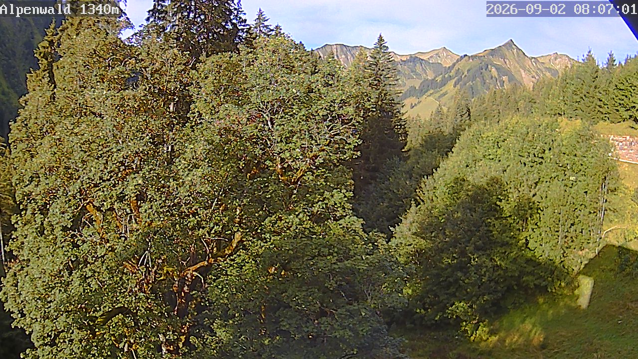 Image: Gasthof Alpenwald
